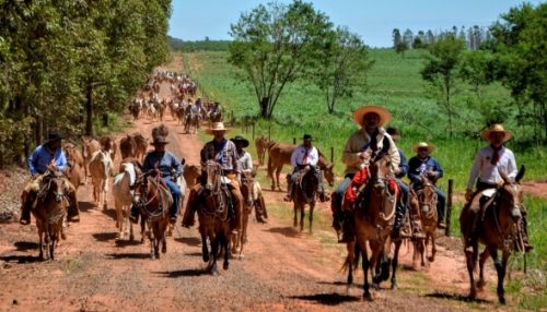 Com percurso de 298 km, cavalgada que cruza regiões Noroeste e Alta Paulista passa por Adamantina
