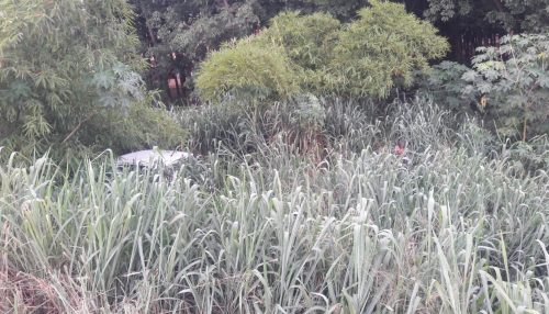 Veículo cai em ribanceira na SP 294, em Parapuã