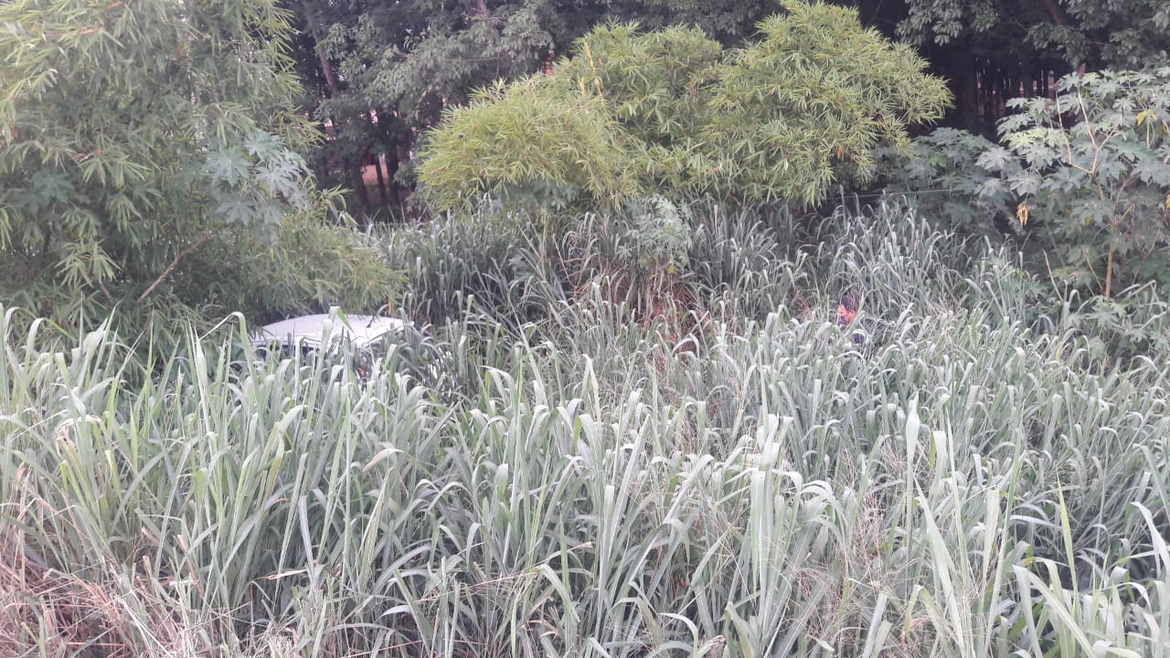 Veículo cai em ribanceira na SP 294, em Parapuã