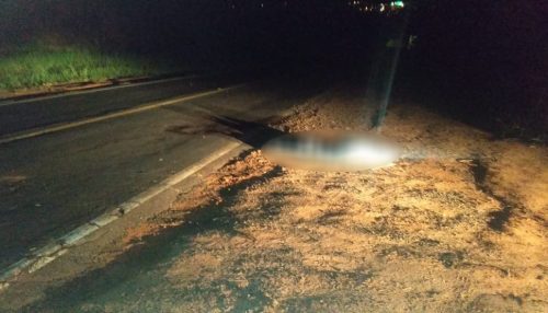 Homem morre após ser atropelado por veículo em Irapuru