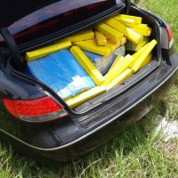 Whatsapp Image 2022 01 12 At 15.37.41