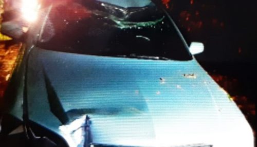 Motorista é preso em flagrante por embriaguez ao volante após bater em placa de sinalização