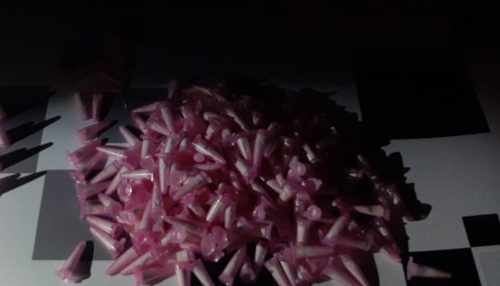 Tio e sobrinho são flagrados com 300 pinos de cocaína e acabam presos por tráfico de droga em Adamantina