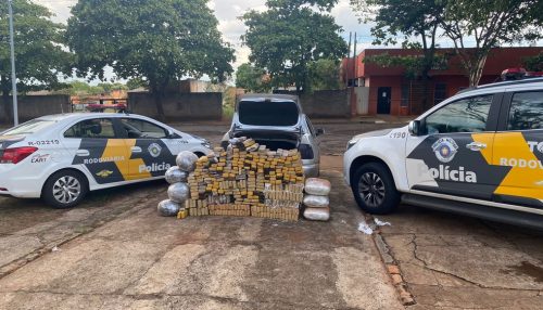 Carga de quase 330 quilos de drogas é apreendida dentro de veículo em Teodoro Sampaio