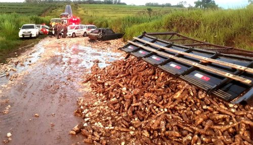 Após colidir na traseira de veículo, caminhão carregado de mandioca tomba em vicinal