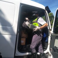 1f1f8199 Bdba 41e7 890e Ac3803dabfdc