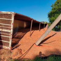 WhatsApp Image 2022 02 09 At 19.05.54