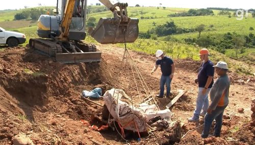 Após 8 anos de descoberta, ossada da pelve de dinossauro herbívoro é retirada de fazenda em Alfredo Marcondes