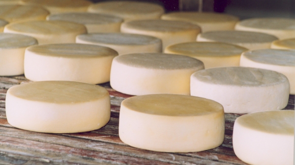 SP regulamenta lei que simplifica registro para produção artesanal de alimentos de origem animal