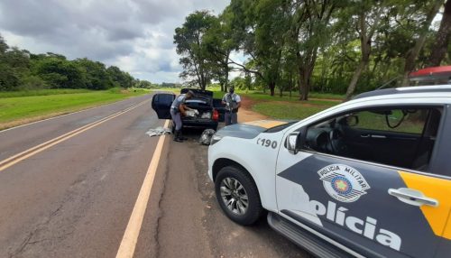 Adolescente é flagrado com 114 quilos de skank em Teodoro Sampaio