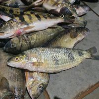 Whatsapp Image 2022 02 02 At 06.18.57