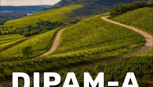 Produtores rurais tem até 31 de março para apresentar talões de notas para preenchimento da DIPAM