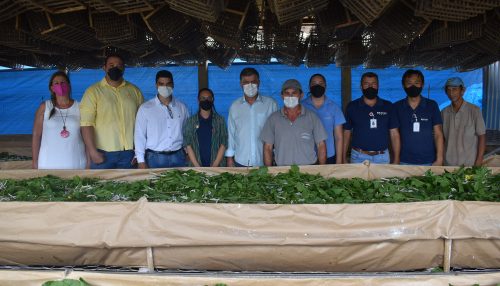 Prefeitura de Adamantina faz visita técnica em busca de conhecimento sobre sericicultura