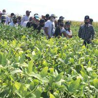 Agronomia_dia De Campo_apta (1)