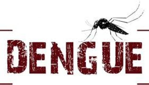 Adamantina tem 25 casos positivos de dengue