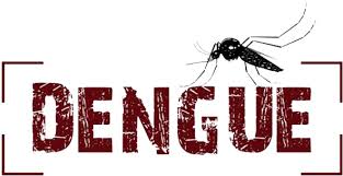 Adamantina tem 25 casos positivos de dengue