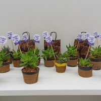 Mulheres No Agro (2)