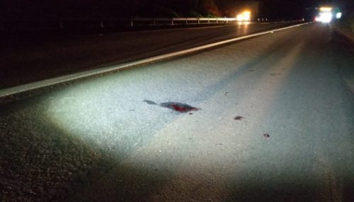 Pedestre morre e motociclista fica ferido em atropelamento na SP-294 em Lucélia