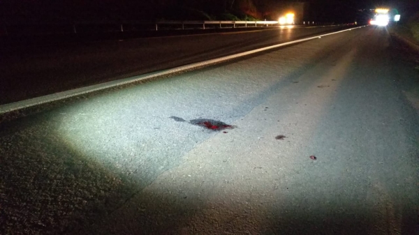 Pedestre morre e motociclista fica ferido em atropelamento na SP-294 em Lucélia