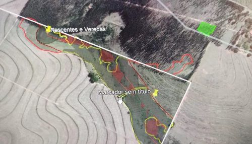 Sitiante é multado em mais de R$ 64 mil por queimada em Área de Preservação Permanente