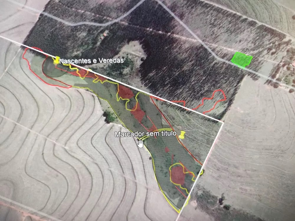 Sitiante é multado em mais de R$ 64 mil por queimada em Área de Preservação Permanente