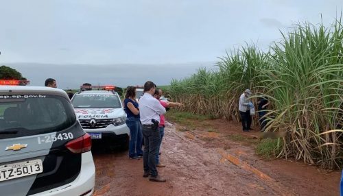 Polícia Civil investiga morte de homem encontrado esfaqueado em canavial, em Panorama