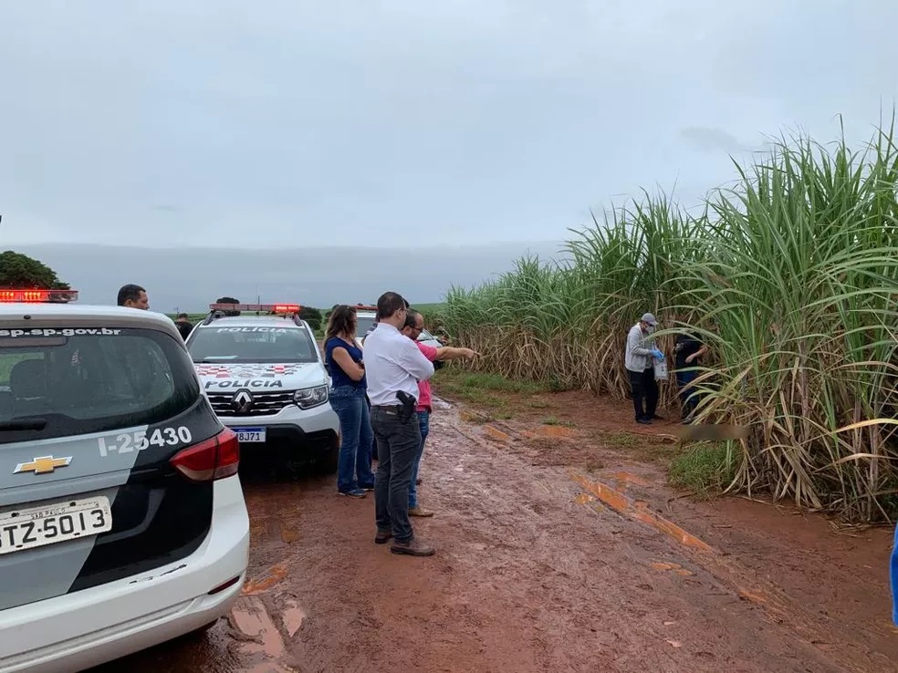 Polícia Civil investiga morte de homem encontrado esfaqueado em canavial, em Panorama