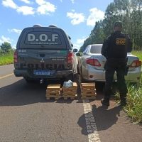 279505864_543924754059980_4658611656296214800_n