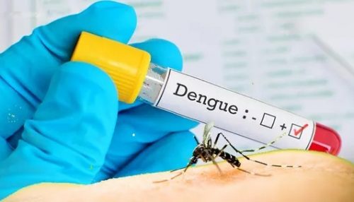 Com casos em alta, Saúde já espera nova epidemia de Dengue