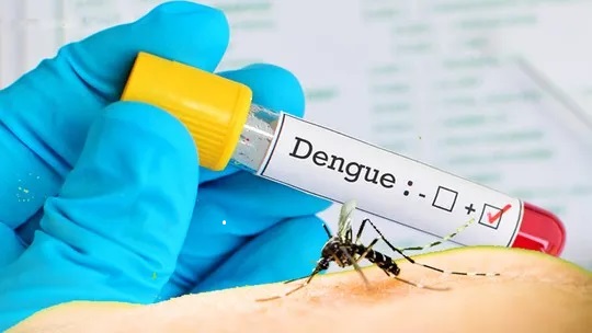 Com casos em alta, Saúde já espera nova epidemia de Dengue