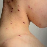 WhatsApp Image 2022 04 01 At 09.53.00