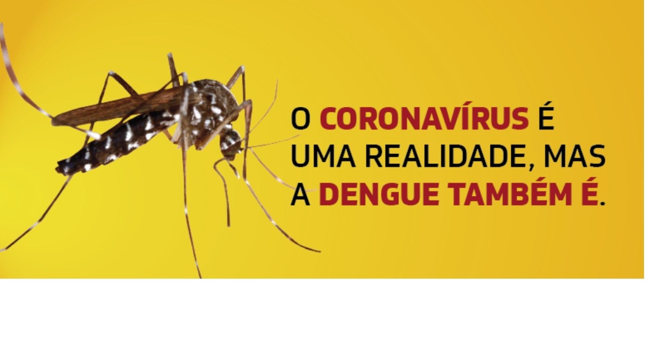 Adamantina apresenta mais casos de dengue do que covid 19