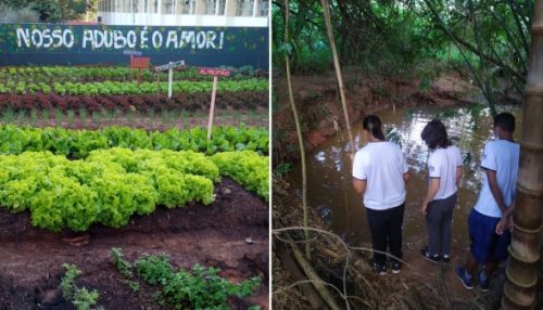 Projeto da Escola Estadual Helen Keller desenvolve a consciência e a preservação ambiental