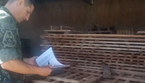 Com madeiras sem documentação de origem à venda, estabelecimento de Adamantina recebe multa de R$ 7,7 mil