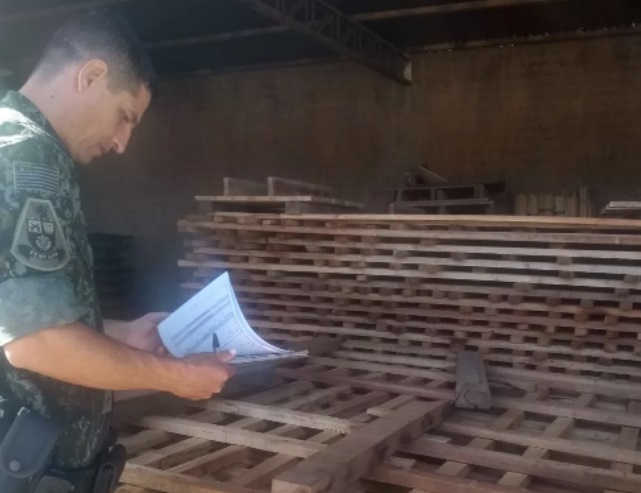 Com madeiras sem documentação de origem à venda, estabelecimento de Adamantina recebe multa de R$ 7,7 mil
