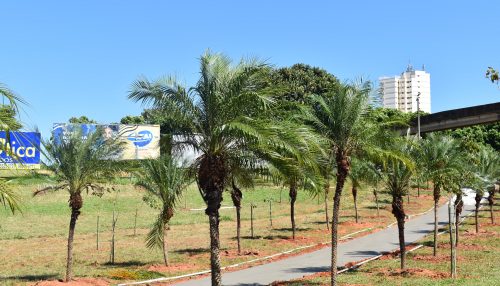 Avançam as obras para criação de praça na Avenida Antônio Tiveron