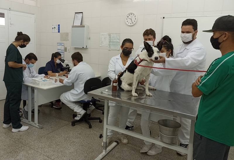 Clínica Veterinária da UniFAI: Atendimento  especial para a comunidade em nível regional