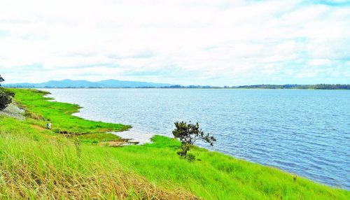 Homem de 43 anos morre após se afogar em represa de Sandovalina