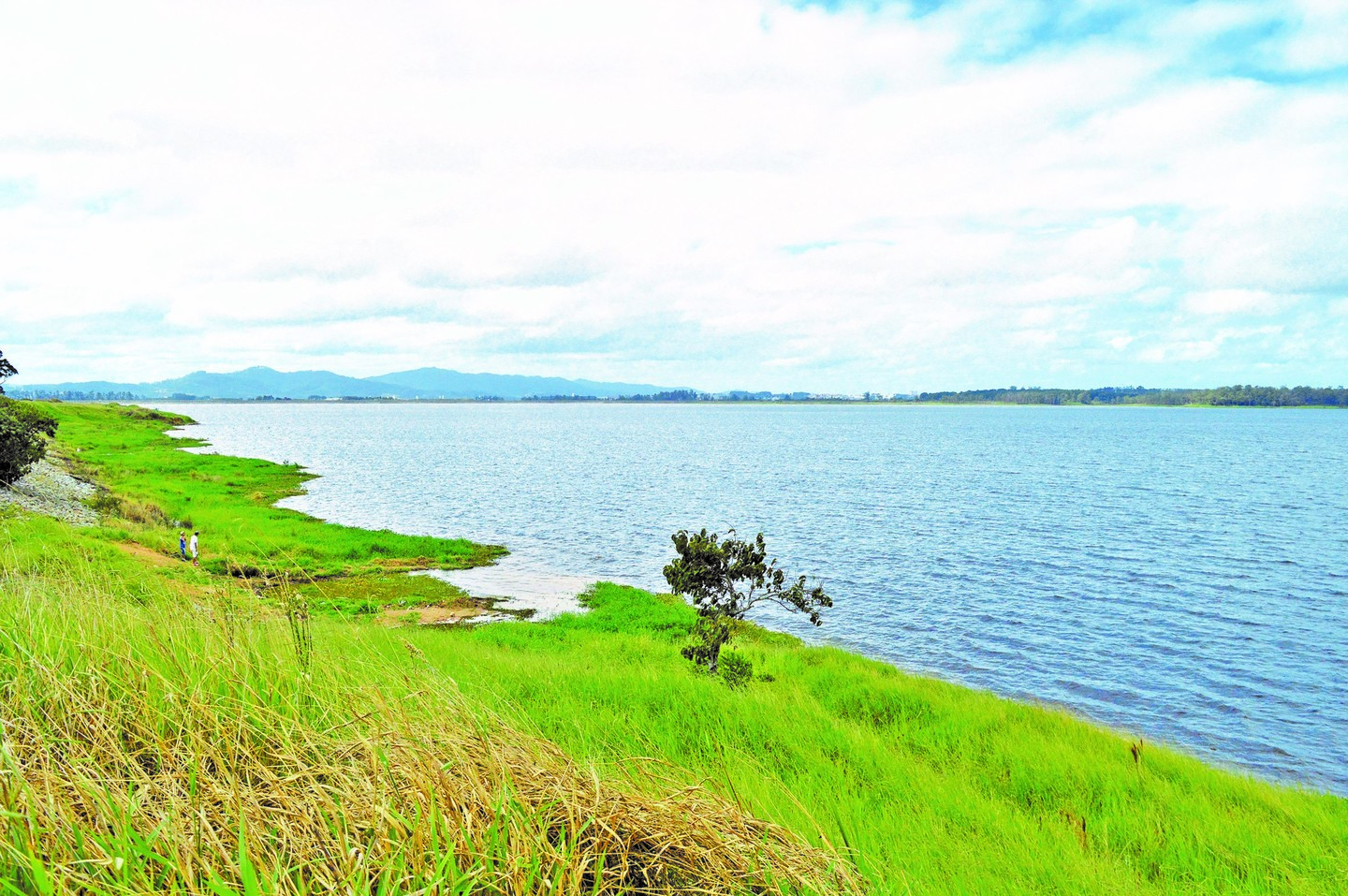 Homem de 43 anos morre após se afogar em represa de Sandovalina