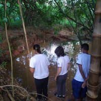 Whatsapp Image 20220420 At 234431jpg1650890680626697b8df9e0