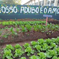 Whatsapp Image 20220420 At 234437 1jpg165089078662669822e6341