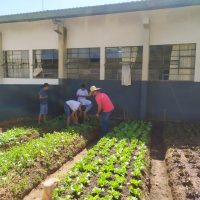 Whatsapp Image 20220420 At 234437jpg1650890699626697cb11def