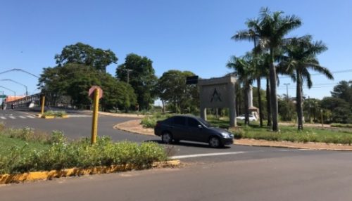 Prefeitura de Adamantina abre licitação para comprar de 76 mil mudas para ornamentação e paisagismo