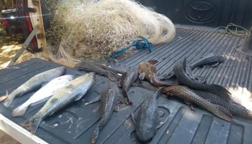 Pescadores são autuados em R$ 2,4 mil por pescar em local proibido em Adamantina