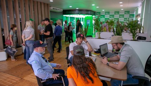 Sicredi na Agrishow 2022: visitação ao estande da segunda maior instituição financeira em crédito rural no Brasil superou as expectativas