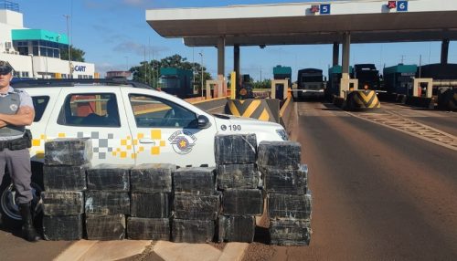 Em 72 horas, Polícias de SP apreenderam mais de 960 tijolos e 24 mil porções de drogas
