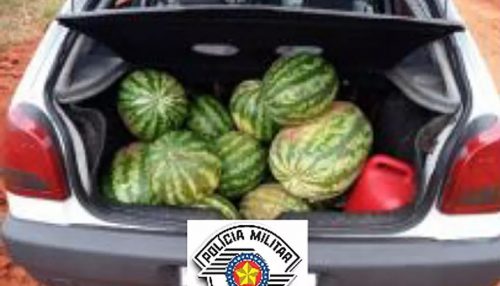 Quarteto é flagrado com 17 melancias em carro e acaba preso por furto em Junqueirópolis