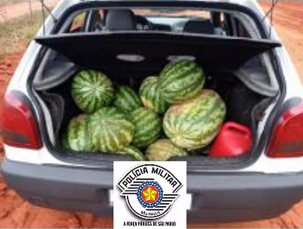 Quarteto é flagrado com 17 melancias em carro e acaba preso por furto em Junqueirópolis