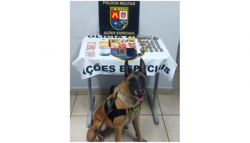 Com apoio do Canil, maconha e crack são apreendidos e homem é preso pelo Baep em Presidente Prudente