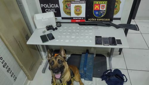 Operação policial em cidades do Oeste Paulista cumpre mandados de busca e apreende drogas